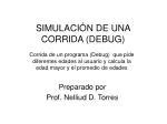 SIMULACIÓN DE UNA CORRIDA (DEBUG) - slide 1