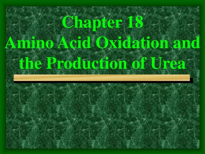 chapter 18 amino acid oxidation and the production of urea