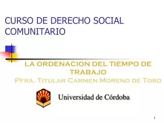 curso de derecho social comunitario