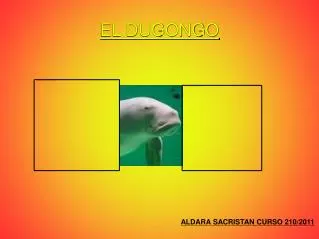 el dugongo