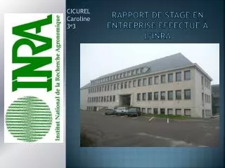 rapport de stage en entreprise effectu l inra