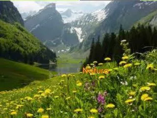 natura