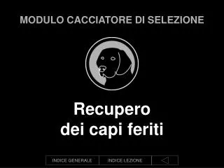 modulo cacciatore di selezione