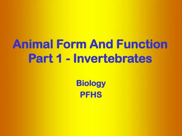 animal form and function part 1 invertebrates