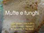 Muffe e funghi - slide 1