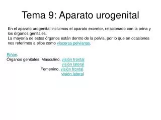 tema 9 aparato urogenital