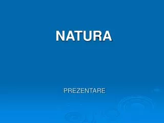 prezentare
