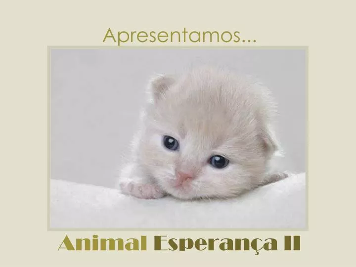 apresentamos animal esperan a ii