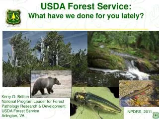 USDA Forest Service: What have we done for you lately?