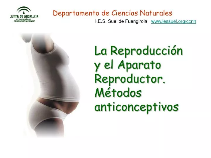 la reproducci n y el aparato reproductor m todos anticonceptivos