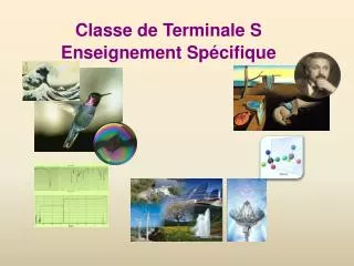 classe de terminale s enseignement sp cifique