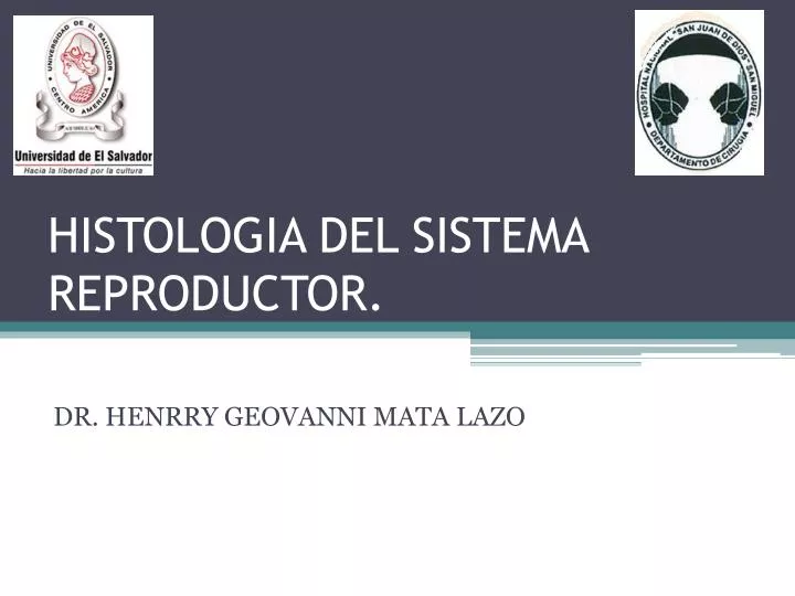 histologia del sistema reproductor