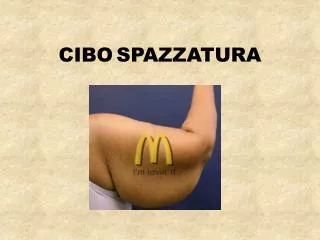 cibo spazzatura