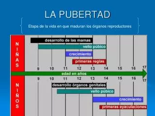 la pubertad
