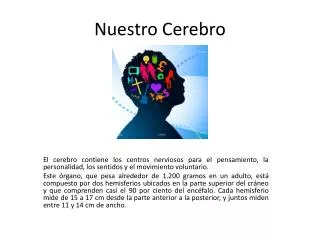 nuestro cerebro
