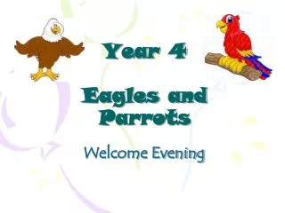 Year 4 Eagles and Parrots