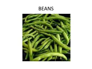 beans