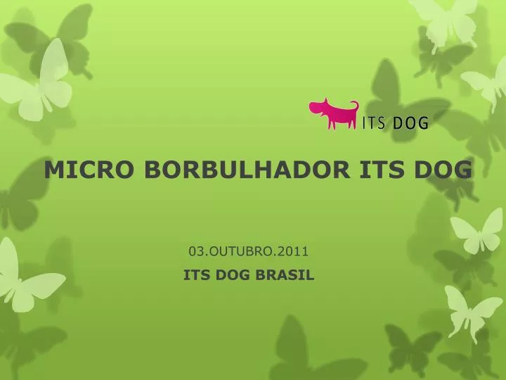 micro borbulhador its dog