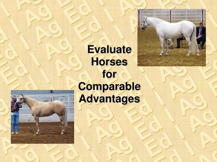 evaluate horses for comparable advantages