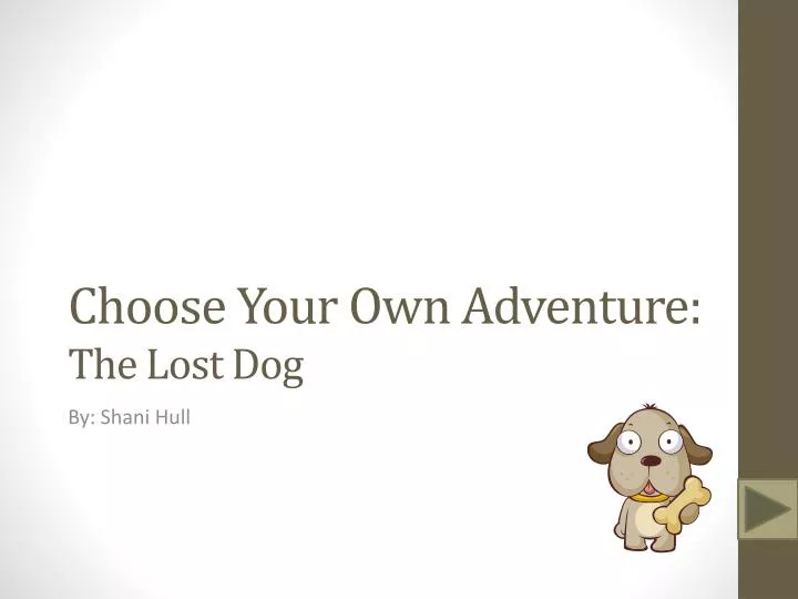 choose your own adventure the lost dog