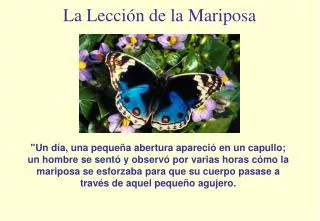 la lecci n de la mariposa