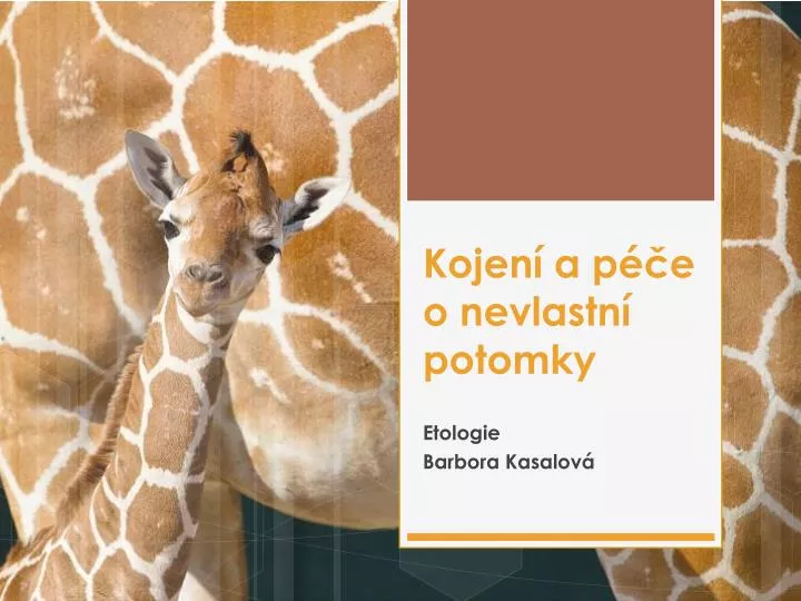 kojen a p e o nevlastn potomky