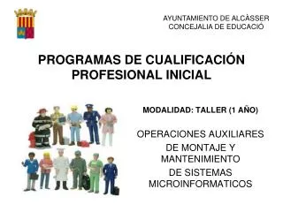programas de cualificaci n profesional inicial