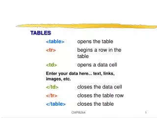 TABLES 	&lt;table&gt; opens the table	 	&lt;tr&gt; begins a row in the 				table	 	&lt;td&gt;	 opens a data cell