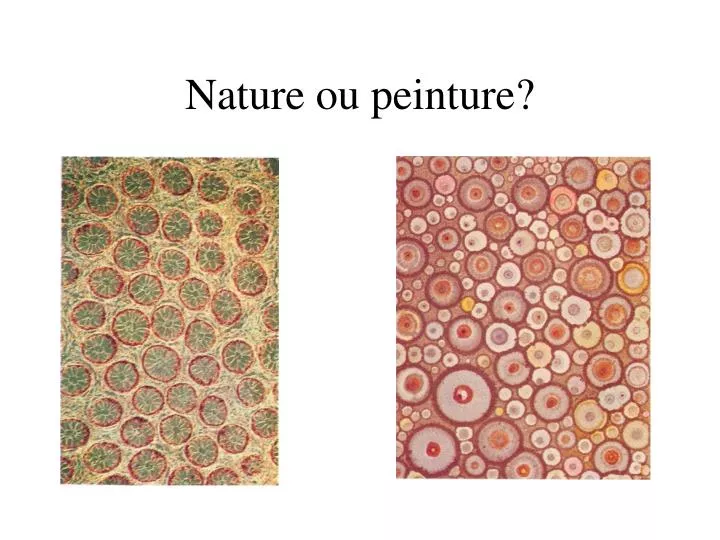 nature ou peinture