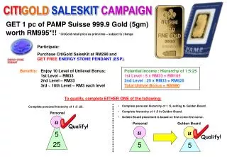 CITI GOLD SALESKIT CAMPAIGN