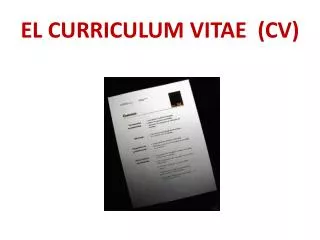 el curriculum vitae cv