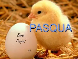 pasqua