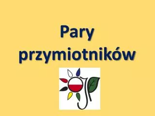 pary przymiotnik w