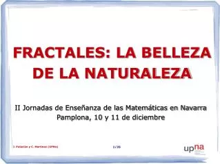 fractales la belleza de la naturaleza