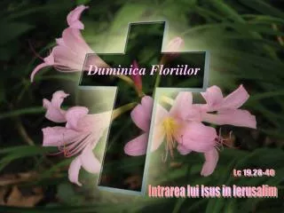 duminica floriilor