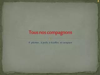 tous nos compagnons