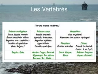 Les Vertébrés