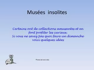 mus es insolites
