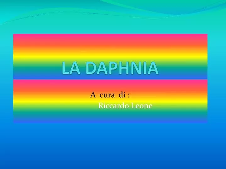 la daphnia