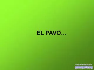 el pavo