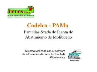 codelco pamo