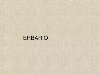 erbario