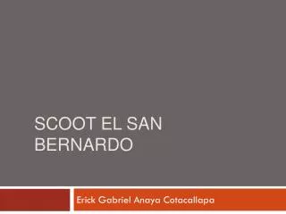 scoot el san bernardo