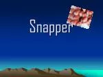 Snapper - slide 1