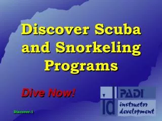 Discover Scuba and Snorkeling Programs