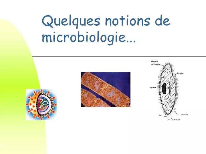 quelques notions de microbiologie