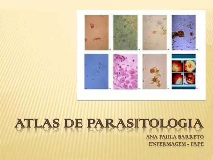 atlas de parasitologia ana paula barreto enfermagem fape