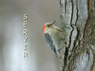 s e r v i r