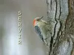 S E R V I R - slide 1
