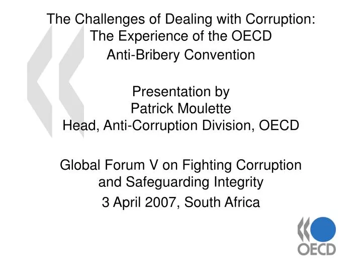 global forum v on fighting corruption and safeguarding integrity 3 april 2007 south africa